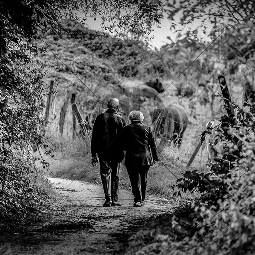 Yaşlı Çift Yürüyüş