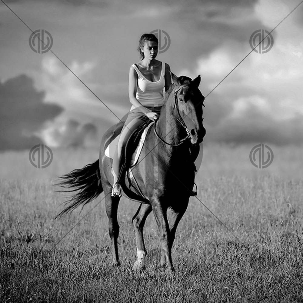 At Binen Kadın