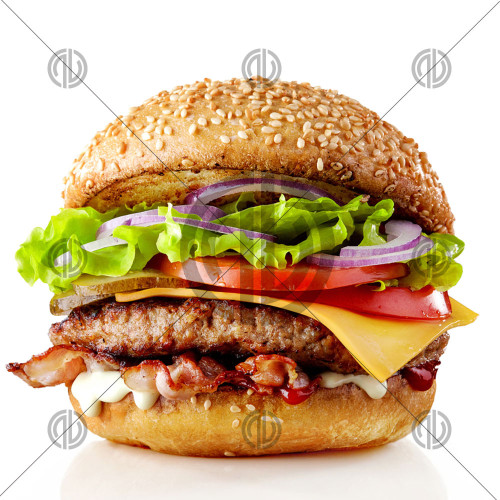 Burger Fotoğrafı