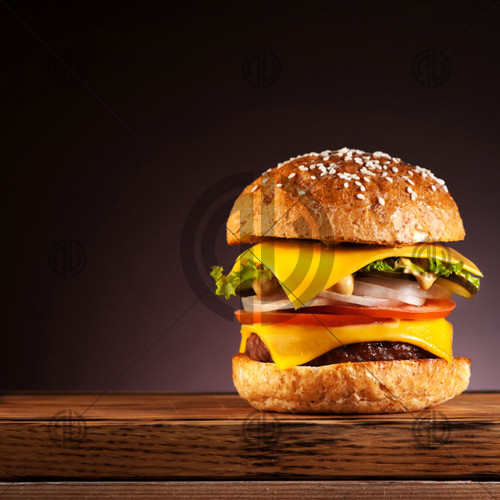 Tekli Hamburger Fotoğrafı