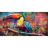graffiti fotografi indir papagan illustrasyon