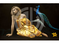 Telifsiz stok görsel güzel kadın tavus kuşu yağlı boya