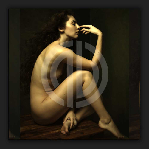 Gizemli çıplak kadın fotoğraf nft yağlı boya
