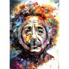 Albert Einstein yağlı boya portre fotoğraf bilimsel illustrasyon