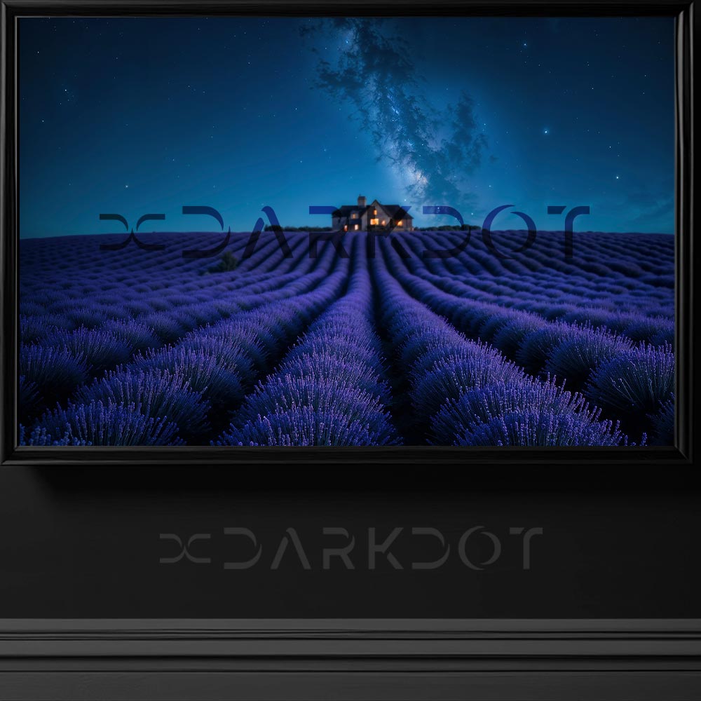 gece lavanta bahcesi wallpaper fotografi eflatun renklerde buyumus lavanta cicegi 
