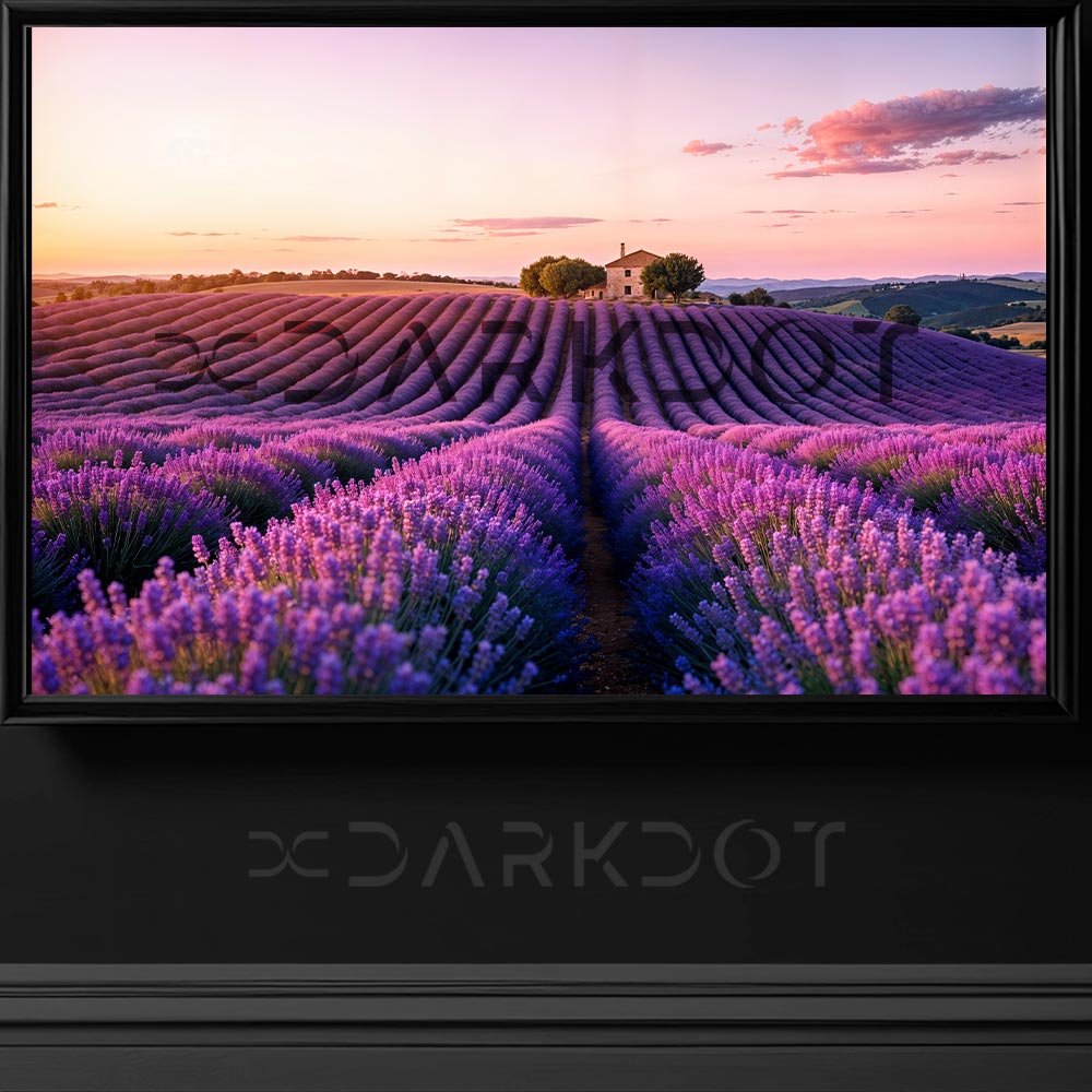 lavanta bahcesi fotografi lavanta bahcesi wallpaper bahce icinde ev temali arka plan