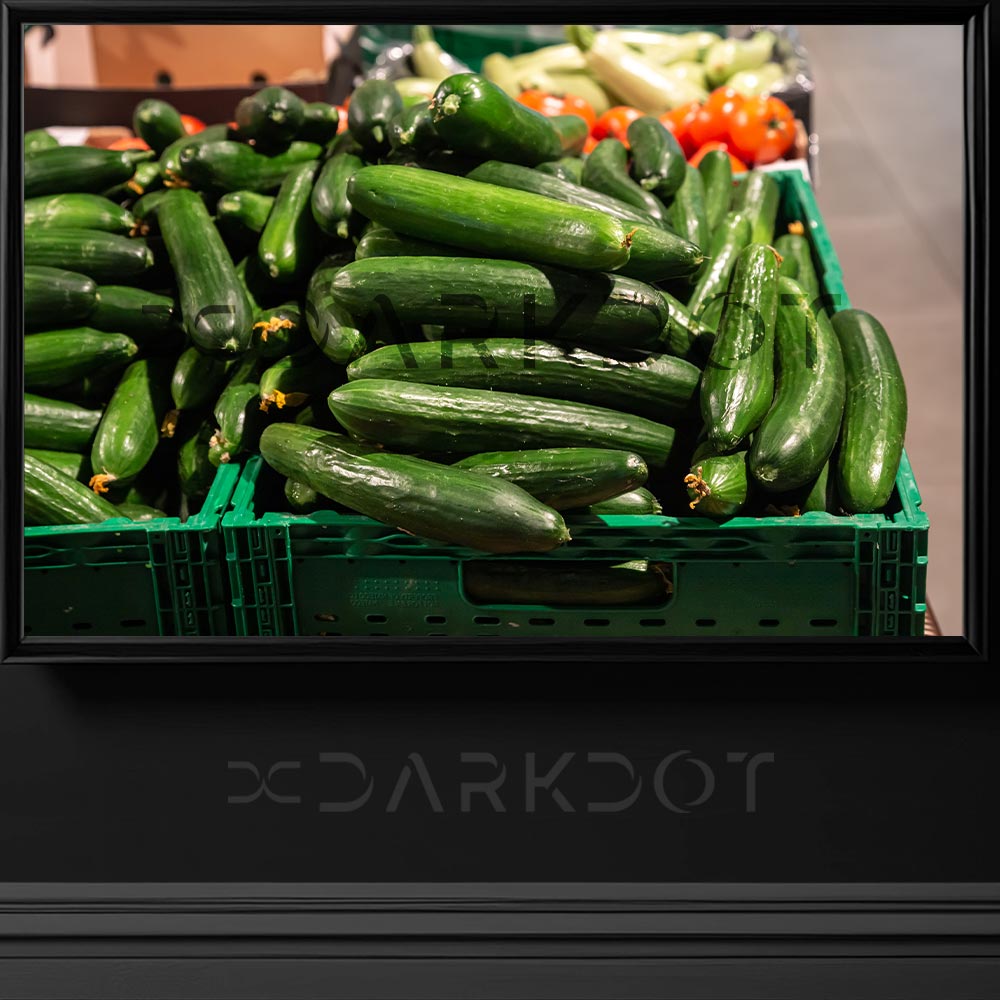 salatalik fotografi yesillik fotografi sebze fotograflari yeni hasat salatalik resimleri