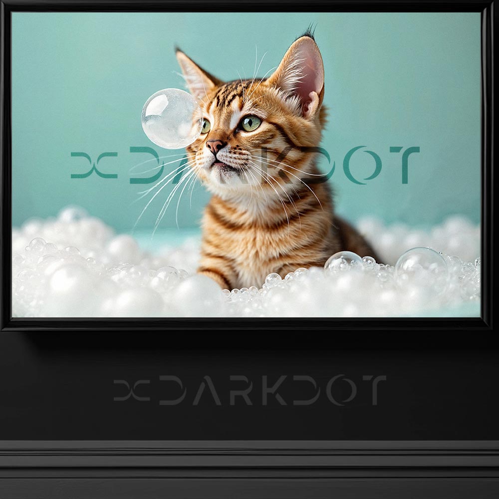 banyo yapan kedi kopukler arasinda poz veren sari tekir kedi yavrusu fotografi
