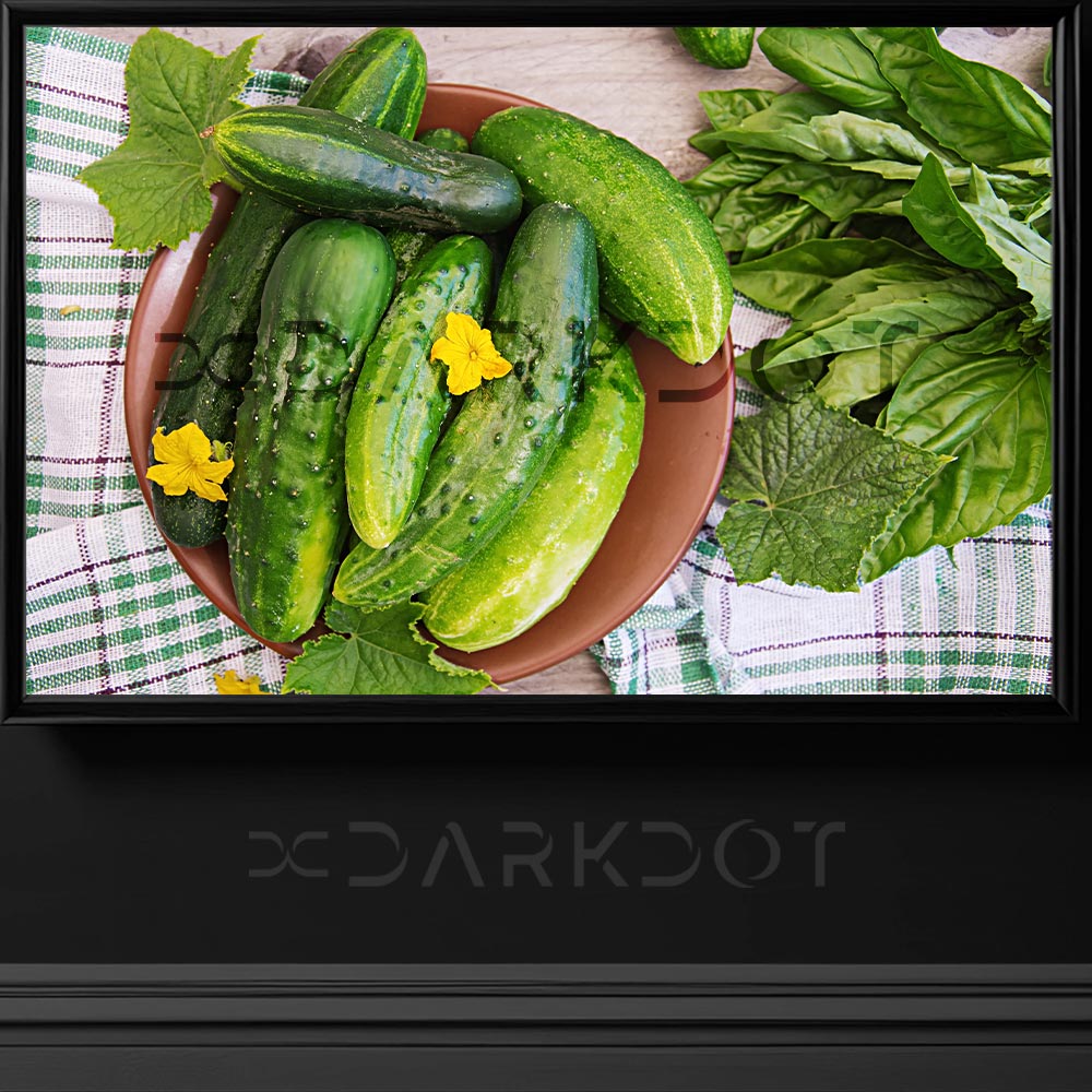 telifsiz fotograflar indir stok salatalik fotografi mutfak fotograflari indir